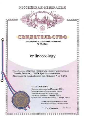Свидетельство на товарный знак (Буквенное)